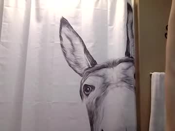 misseeva's chat room