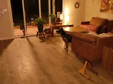 kaileeshy's chat room