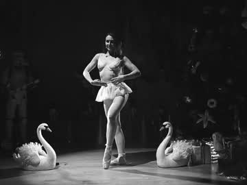 rocknrose's chat room