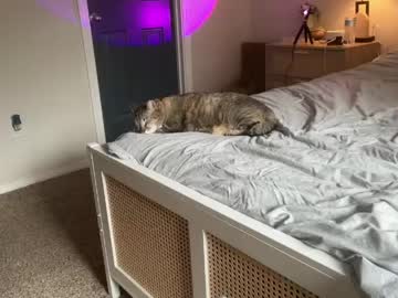 brianaboo's chat room