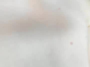 mistressandangel's chat room