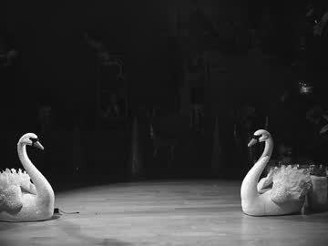 rocknrose's chat room