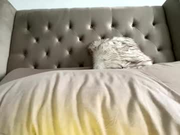 kaliblakexo's chat room