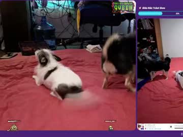 creepycrawlyqueen's chat room