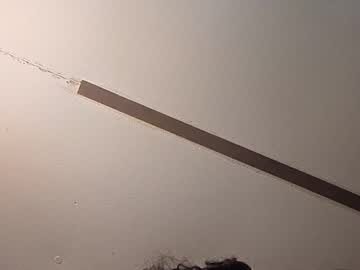 fulluforever's chat room