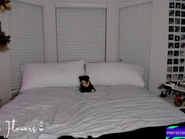 violetttflowers's chat room