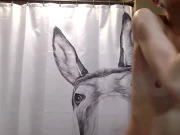 misseeva's chat room