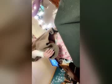 megatinyyy's chat room