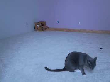 chroniclove's chat room