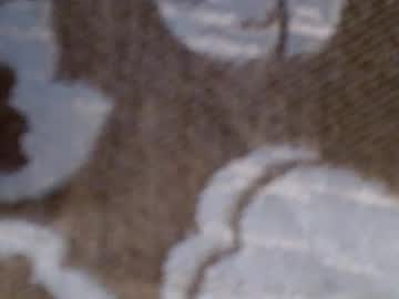 elizabeth_aron's chat room