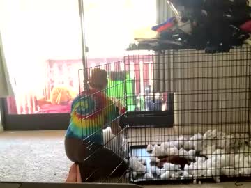 intothewoodswego's chat room