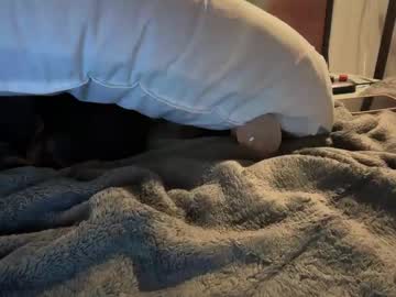 little_lies's chat room