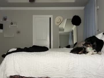 brielledaviss's chat room