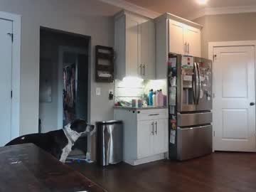 bendlikebecks's chat room