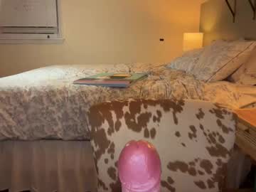 frayfitz's chat room