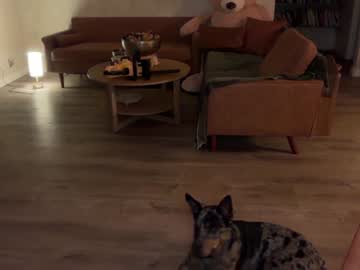 kaileeshy's chat room