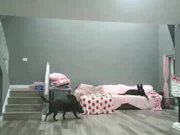 jasonsweets's chat room