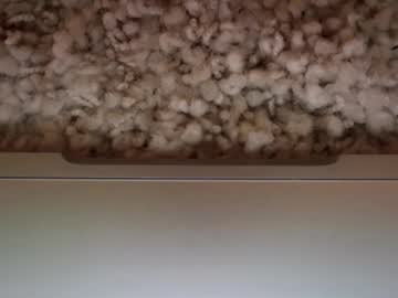 evebrooksss's chat room