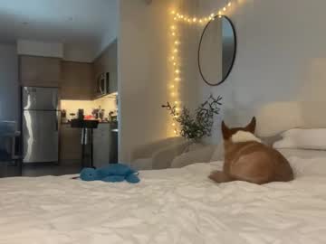 meganryxn's chat room