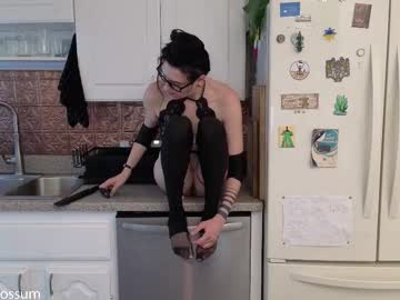 levity_opossum's chat room