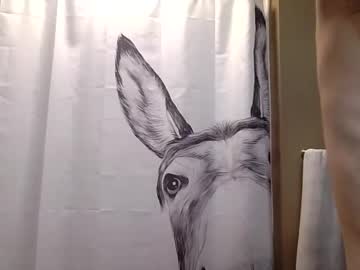 misseeva's chat room