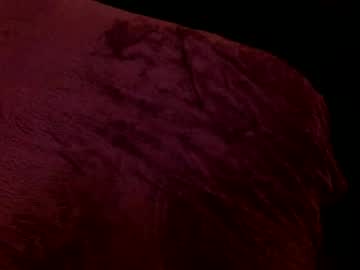 tits_mcgeegee's chat room