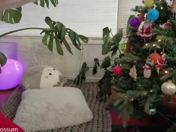 levity_opossum's chat room