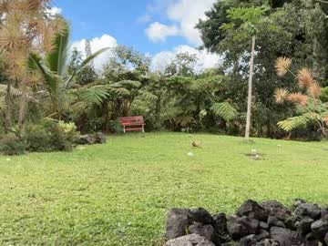 kaileeshy's chat room