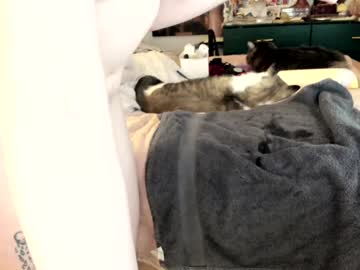 eve003300's chat room