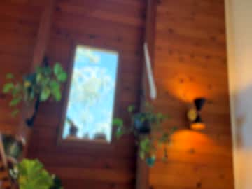 emersoncane's chat room