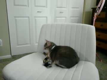 luckyducky02's chat room