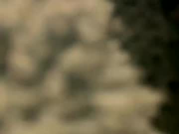 rentsdue22's chat room