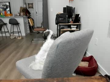 julesmedstudent's chat room