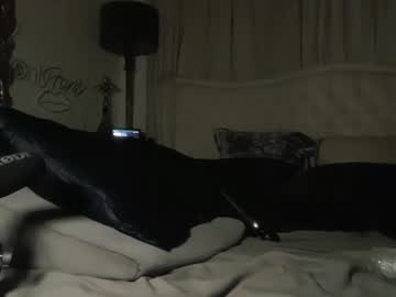 avalonnfoxx's chat room