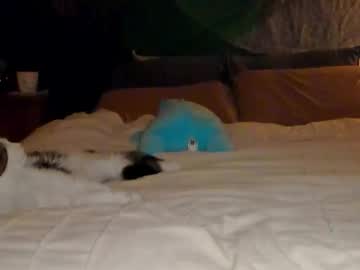 _modestmouse's chat room