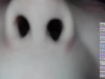 kitty_krush's chat room