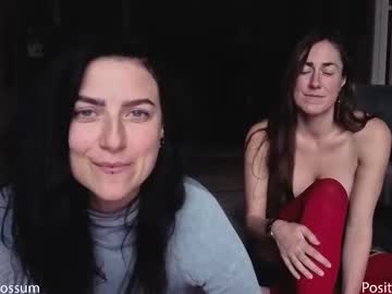 levity_opossum's chat room