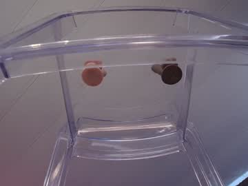 skyewatson's chat room