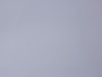 bush_woman's chat room