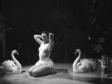 rocknrose's chat room