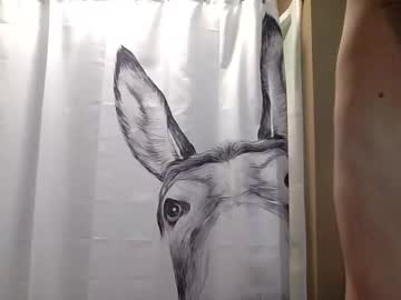 misseeva's chat room