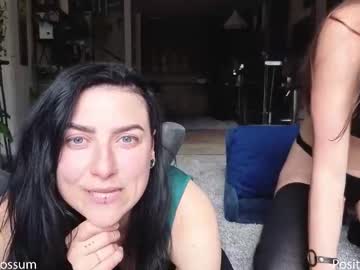 levity_opossum's chat room