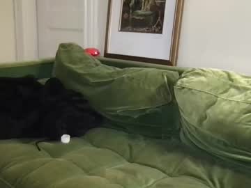 stacywithuu's chat room