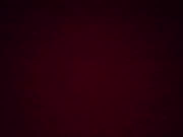 xxxsophiaday's chat room