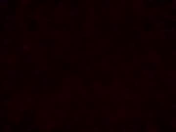 pretendlunch's chat room