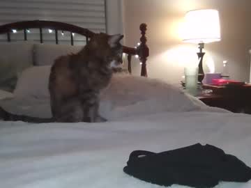 tattedsweets01's chat room