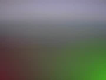 carleyquinn42183's chat room