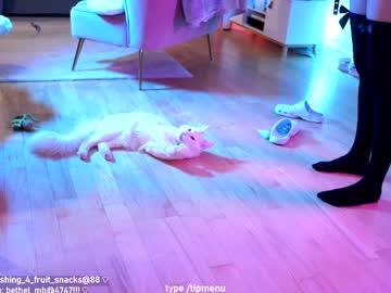 misshowl's chat room