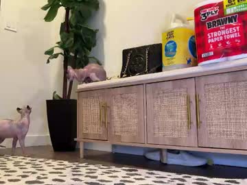 graciemae_baexx's chat room