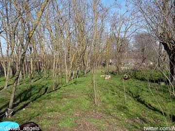 davids_angelsxxx's chat room